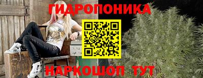 каннабис Сланцы