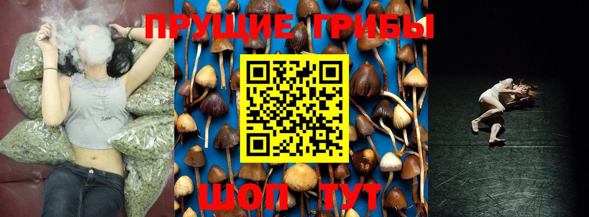 Самара  Галлюциногенные грибы MAGIC MUSHROOMS  Вход с VPN 