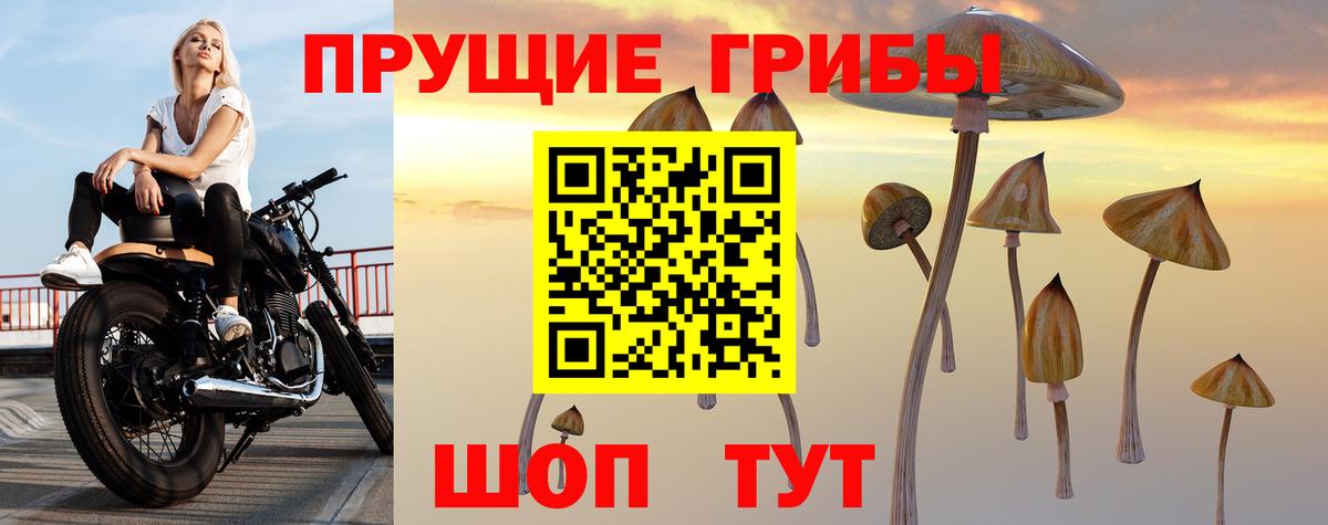 Псилоцибиновые грибы MAGIC MUSHROOMS Самара